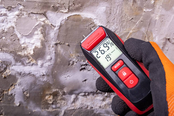 Best Office Mold Removal Services  in Troutdale, OR