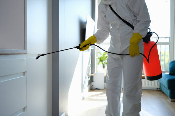 Best Commercial Mold Removal  in Troutdale, OR