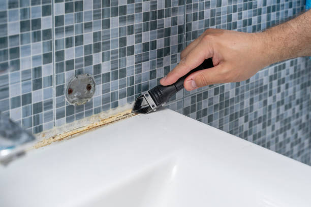 Best Affordable Mold Removal  in Troutdale, OR