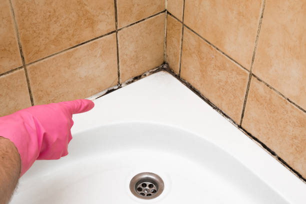 Best Crawl Space Mold Removal  in Troutdale, OR